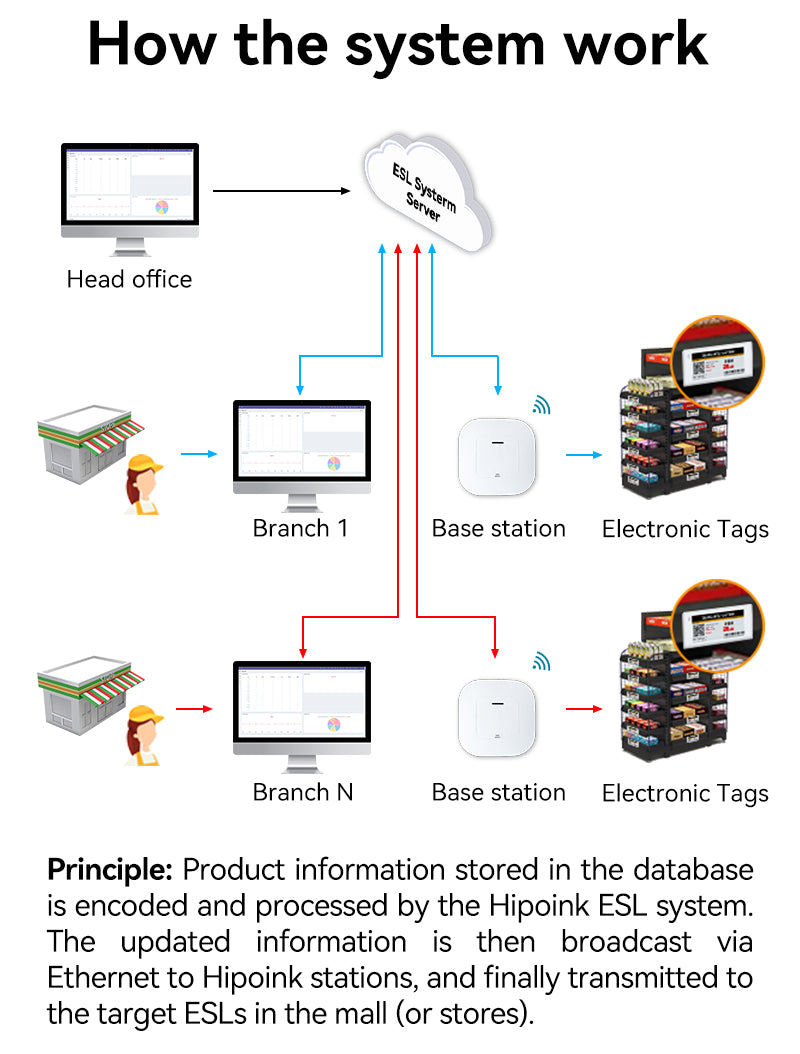 Hipoink Wholesales Four Color Electronic Shelf Label BWRY Digital Price Tag