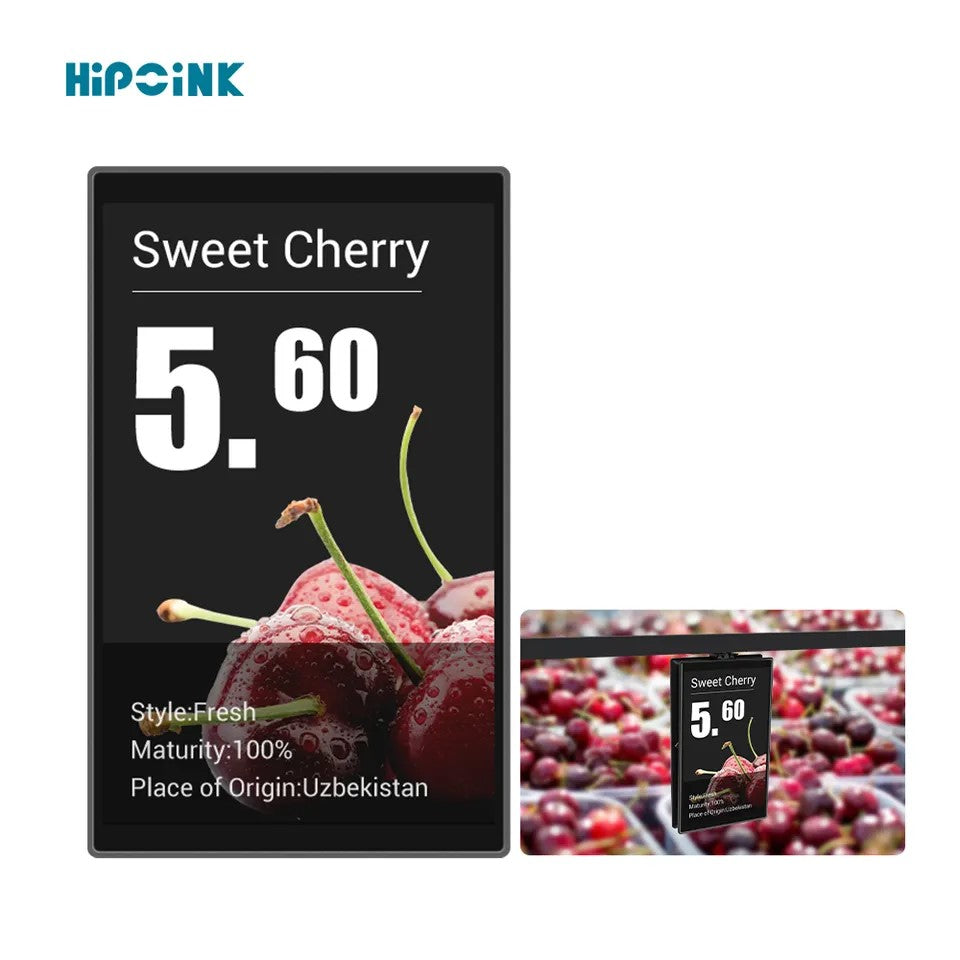 10.1 inch ESL Display