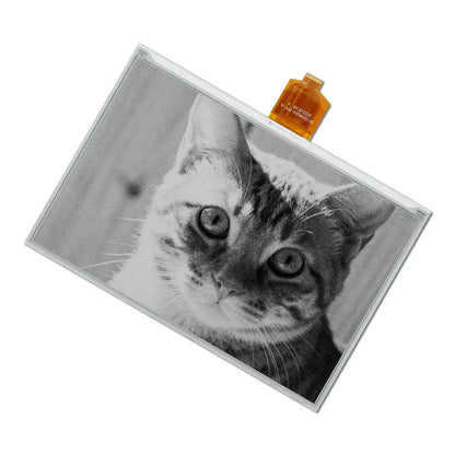Black & White E6 E-ink Display Module