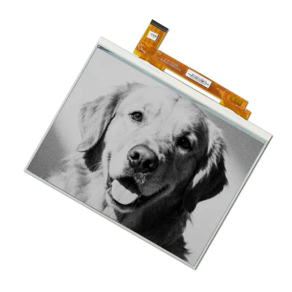 Black & White E6 E-ink Display Module