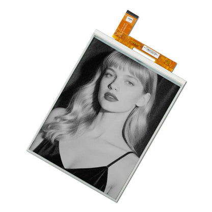 Black & White E6 E-ink Display Module