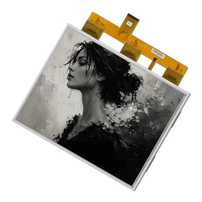 Black & White E6 E-ink Display Module