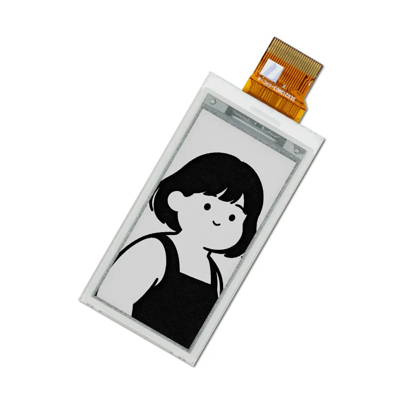 Black & White E6 E-ink Display Module