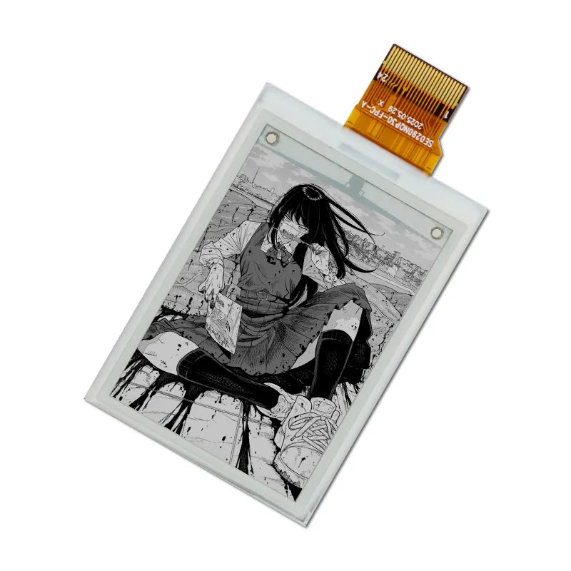 Black & White E6 E-ink Display Module
