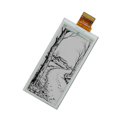 Black & White E6 E-ink Display Module