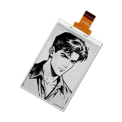 Black & White E6 E-ink Display Module