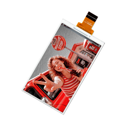 3.97 Inch Three-color E6 E-ink Display Module