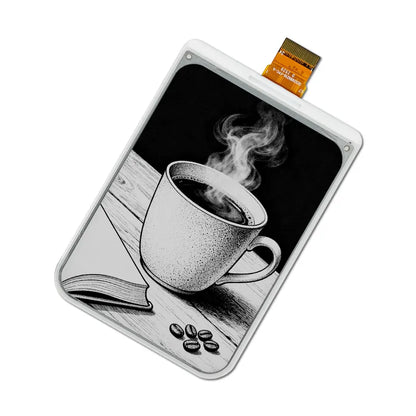 Black & White E6 E-ink Display Module