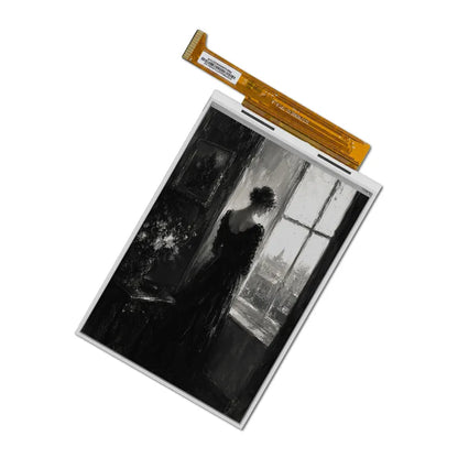 Black & White E6 E-ink Display Module