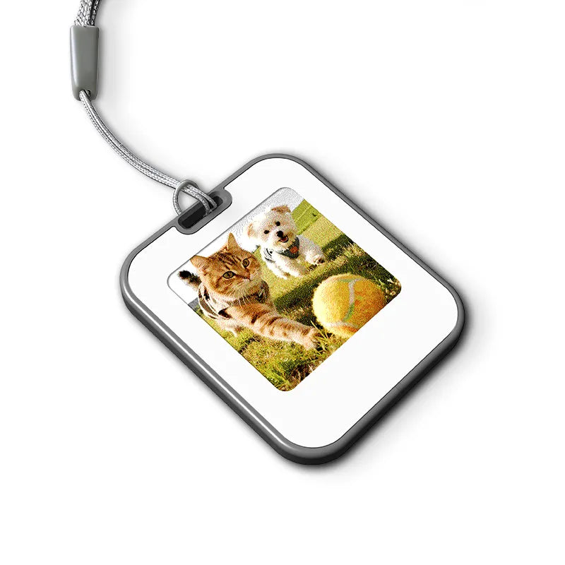 E Ink Keychain